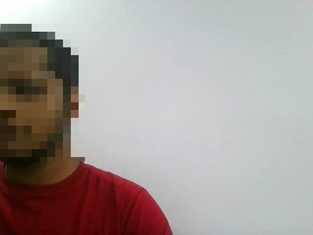 Webcam Demo 2